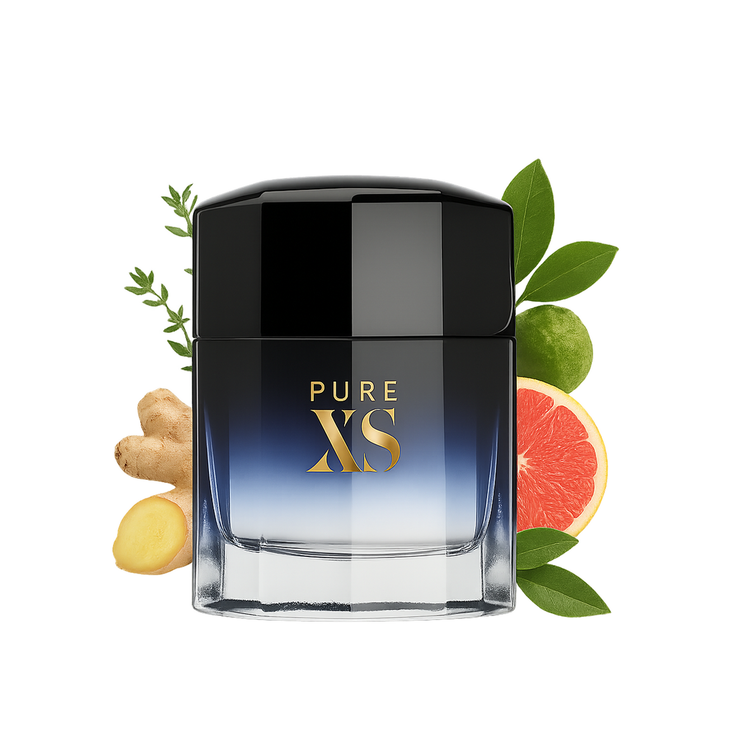 Pure XS Rabanne Alternative By Le Reve